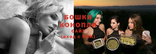 молекула духа Каменка