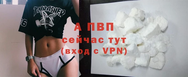 ГАЛЛЮЦИНОГЕННЫЕ ГРИБЫ Касимов