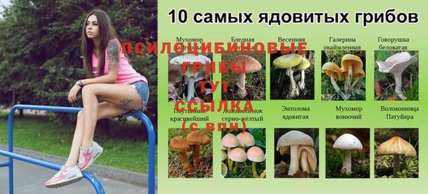 MESCALINE Карталы
