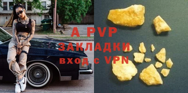 ГАЛЛЮЦИНОГЕННЫЕ ГРИБЫ Касимов