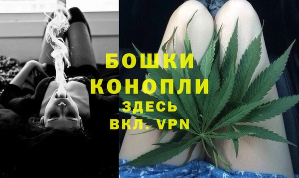 ГАЛЛЮЦИНОГЕННЫЕ ГРИБЫ Касимов