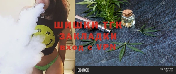 ГАЛЛЮЦИНОГЕННЫЕ ГРИБЫ Касимов