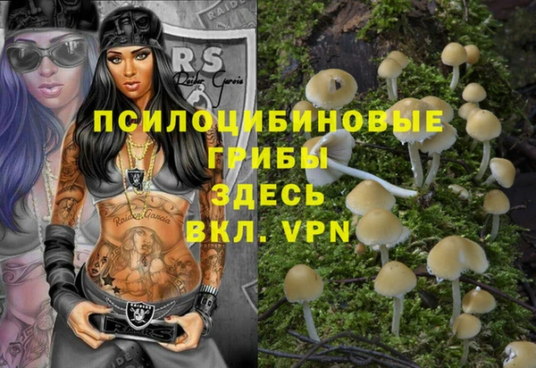 ГАЛЛЮЦИНОГЕННЫЕ ГРИБЫ Касимов