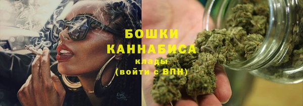 ГАЛЛЮЦИНОГЕННЫЕ ГРИБЫ Касимов