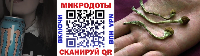 Купить закладки  Карабулак  Псилоцибиновые грибы прущие грибы 